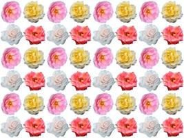 Pattern Floral background photo