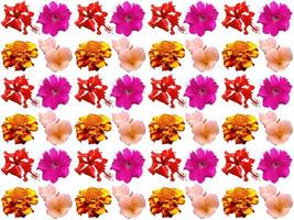 Pattern Floral background photo