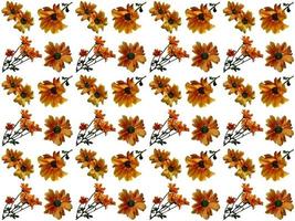 Flowers Pattern on a white background photo