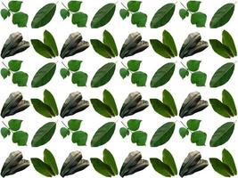 Pattern Leaf background photo