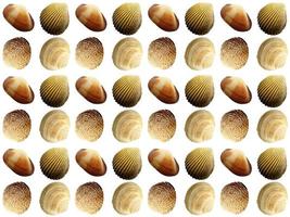 clam pattern on a white background photo