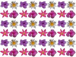 Pattern Flowers background photo