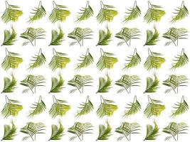 Pattern Leaves on a white background photo