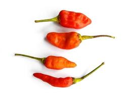 Chili pepper isolated on a white background. hot red chili pepper photo