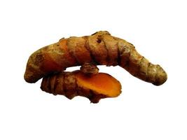 Turmeric or Curcuma Longa on white background photo