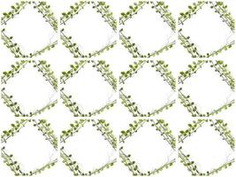 Leaves pattern on a white background photo