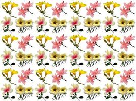 patrón de flores de fondo foto