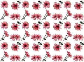 Floral Pattern on a white background photo