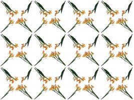 pattern Flowers on a white background
