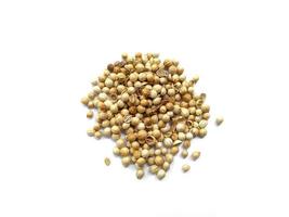 Coriander seeds on white background photo