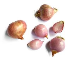 Onion. Fresh red onion on white background photo