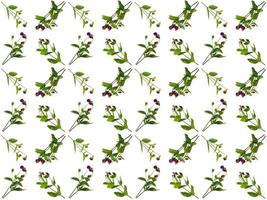 pattern Flowers on a white background photo