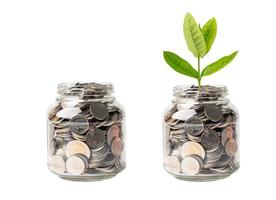 Tree plumule leaf on save money coins, Business finance saving banking investment concept. photo