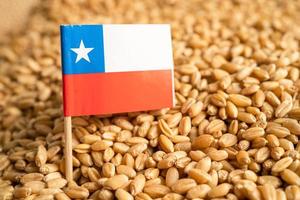 granos de trigo con bandera chilena, exportación comercial y concepto económico. foto