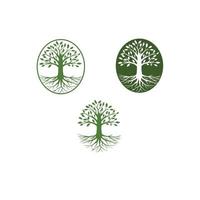 root and tree logo vector