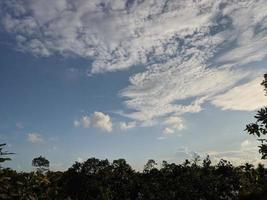 landscape photo of sky and forest