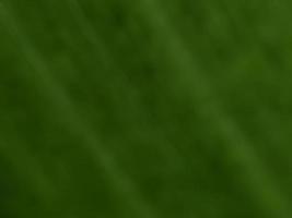 photo or image blur, bokeh, fresh background, cool