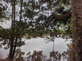 Enjoy the view on the banks of the river, Kalimantan, Indonesia photo