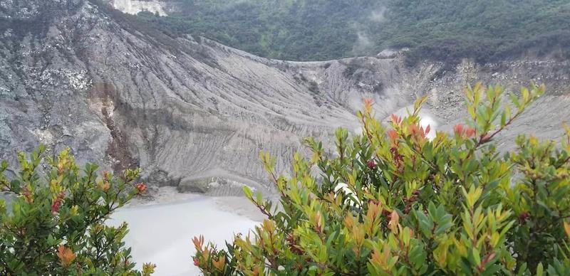 頂峰影片