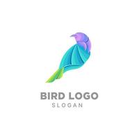 pájaro logo diseño degradado colorido plantilla vector