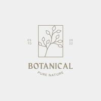 plantilla de diseño de logotipo botánico, aceite de oliva, logotipo floral, logotipo femenino, vector premium de logotipo de belleza