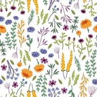 Vector seamless pattern with hand drawn wild flowers