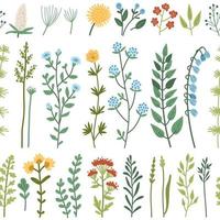 Vector seamless pattern with wild flowers and grass