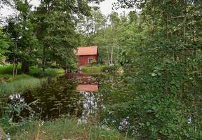 Peaceful forest place with a typical red swedish cabin near a lake