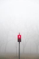 Trafic lights in the foggy winter day photo