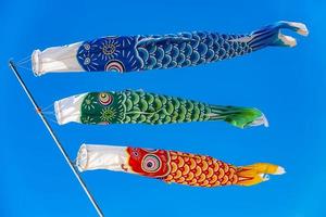 Carp-shaped colorful windsocks photo