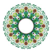 Colorful mandala with floral shapes vector