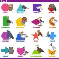 basic geometric shapes with comic birds characters set vector