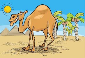 funny cartoon dromedary camel in the desert vector