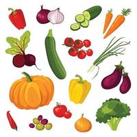 set of vegetables vector