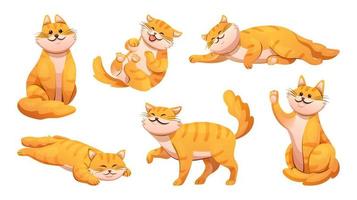 Set of cute cat in different poses cartoon illustration