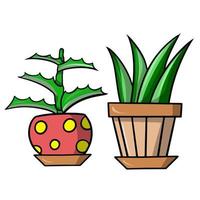 A set of green aloe plants in ceramic pots, indoor plants, cartoon vector illustration on a white background