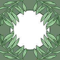 A square banner with green olive branches. Vector illustration with a round empty space for text. Design