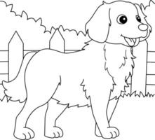 perro golden retriever página para colorear para niños vector