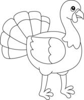 Thanksgiving Turkey Pilgrim Isolated Coloring Page vector