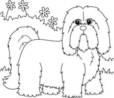 Lhasa Apso Dog Coloring Page for Kids vector
