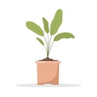 Spring seedling in pots. Growing gardening plants. Vegetarian and ecological products. Vector illustration in flat cartoon style