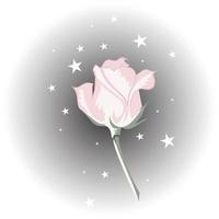 una rosa rosa claro con un fondo gris y estrellas blancas vector