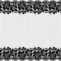 Abstract seamless lace pattern with flowers vector