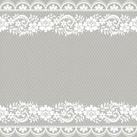 Abstract seamless lace pattern with flowers vector