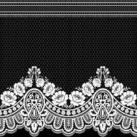 Abstract seamless lace pattern with flowers vector