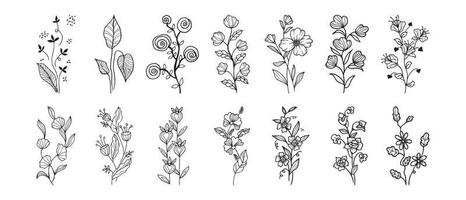 Hand drawn vector design floral elements. Vector illustration.