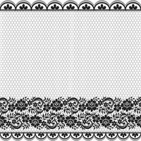 Abstract seamless lace pattern with flowers vector