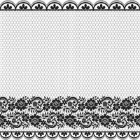 Abstract seamless lace pattern with flowers vector