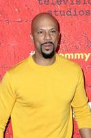 LOS ANGELES, FEB 2 - Common, Lonnie Rashid Lynn Jr at the For Your Consideration Event For The Chi at the DGA Theater  on February 2, 2018 in Los Angeles, CA photo