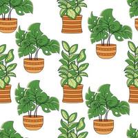 Seamless pattern with home plants monstera and ficus in pots vector